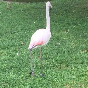 Meet your Posher, Barbara